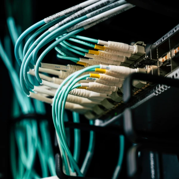 Digitalização e Gestão de Acervo Digital